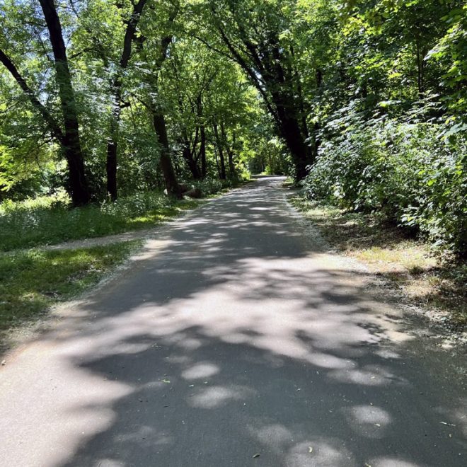 Step-by-step walkthrough for coding a Web Site from a Photoshop template