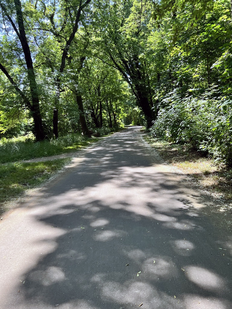 Step-by-step walkthrough for coding a Web Site from a Photoshop template