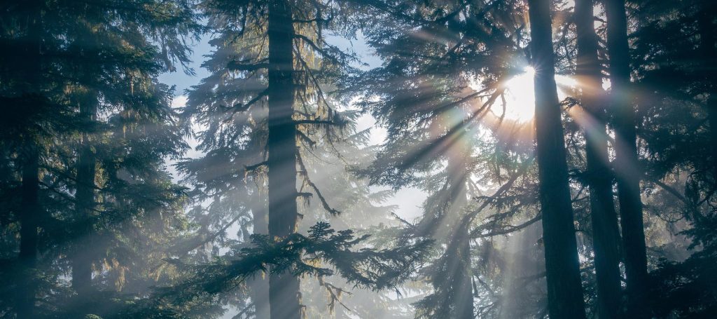 Naturalism: A Short Introduction