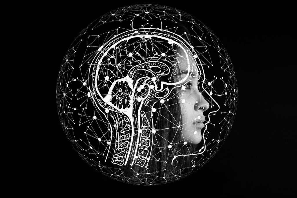 The Impact of Intelligence on Considerations of Equality