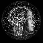 The Impact of Intelligence on Considerations of Equality