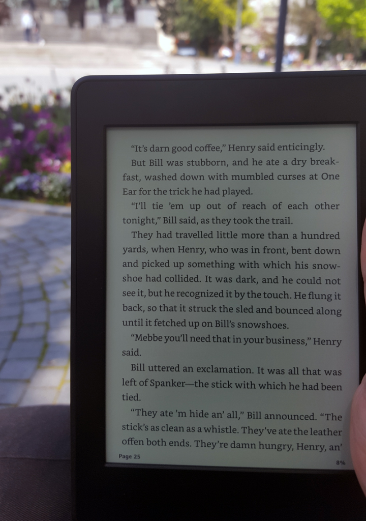 Reading in the park on Kindle